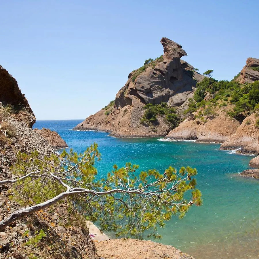 Eden Place Un Petit Coin De Paradis By Laconciergerie13 La Ciotat Appartamento