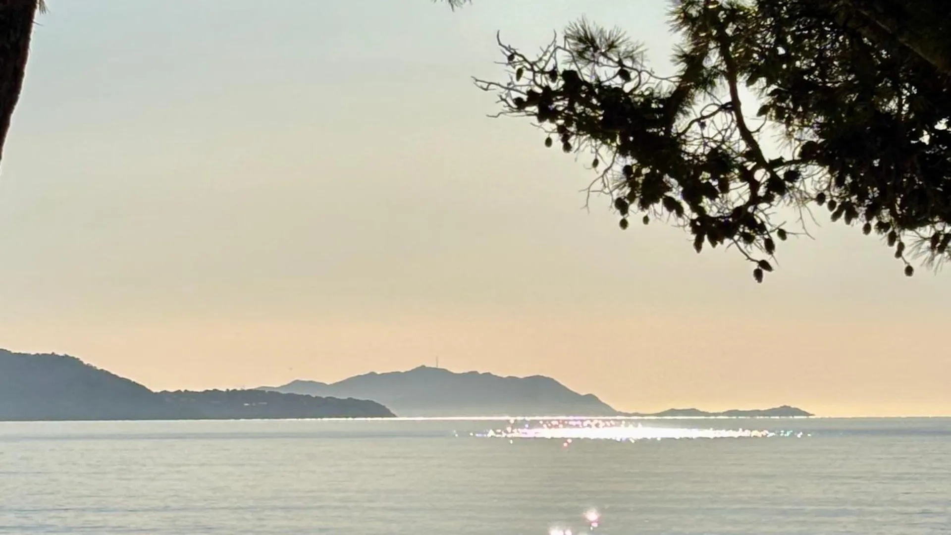 Appartamento Eden Place Un Petit Coin De Paradis By Laconciergerie13 La Ciotat